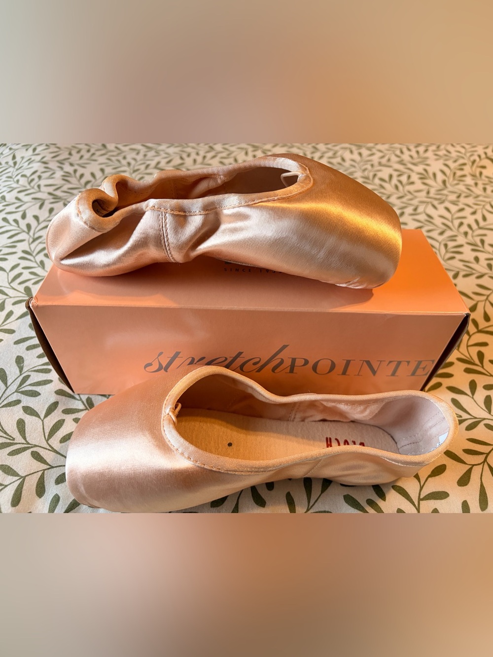 Bloch Eurostretch pointe shoe